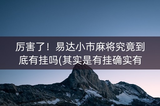 厉害了！易达小市麻将究竟到底有挂吗(其实是有挂确实有挂)