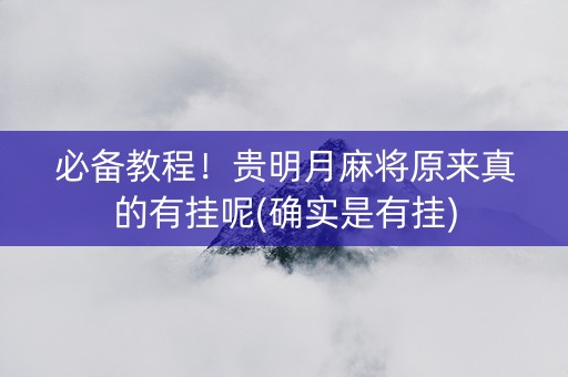 必备教程！贵明月麻将原来真的有挂呢(确实是有挂)