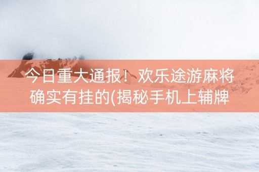 今日重大通报！欢乐途游麻将确实有挂的(揭秘手机上辅牌器)