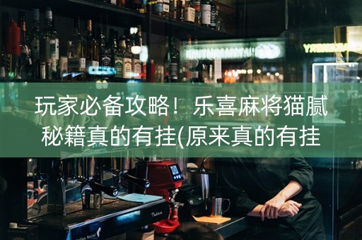 玩家必备攻略！乐喜麻将猫腻秘籍真的有挂(原来真的有挂)