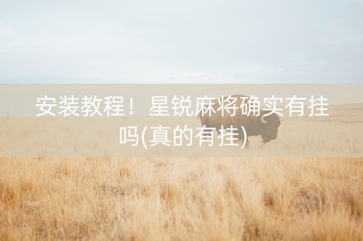 安装教程！星锐麻将确实有挂吗(真的有挂)