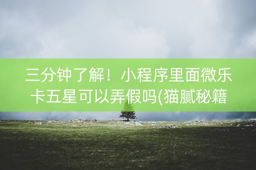 三分钟了解！小程序里面微乐卡五星可以弄假吗(猫腻秘籍真的有挂)