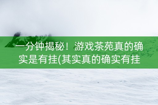 一分钟揭秘！游戏茶苑真的确实是有挂(其实真的确实有挂)