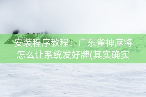 安装程序教程！广东雀神麻将怎么让系统发好牌(其实确实有挂)