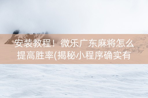 安装教程！微乐广东麻将怎么提高胜率(揭秘小程序确实有猫腻)