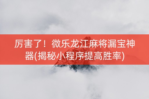 厉害了！微乐龙江麻将漏宝神器(揭秘小程序提高胜率)