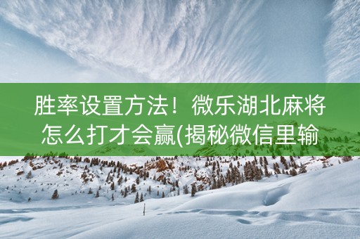 胜率设置方法！微乐湖北麻将怎么打才会赢(揭秘微信里输赢规律)
