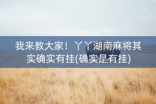 我来教大家！丫丫湖南麻将其实确实有挂(确实是有挂)