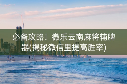 必备攻略！微乐云南麻将辅牌器(揭秘微信里提高胜率)