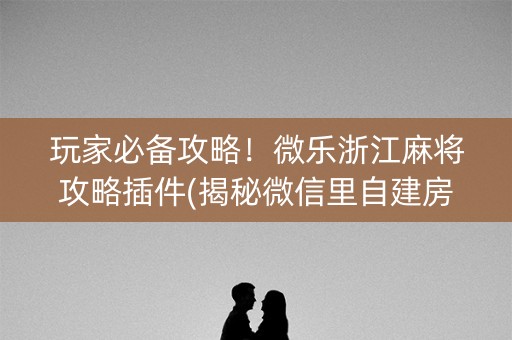 玩家必备攻略！微乐浙江麻将攻略插件(揭秘微信里自建房怎么赢)