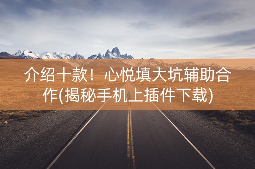 介绍十款！心悦填大坑辅助合作(揭秘手机上插件下载)