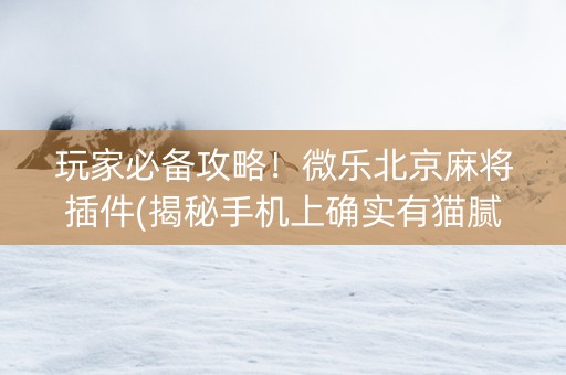 玩家必备攻略！微乐北京麻将插件(揭秘手机上确实有猫腻)