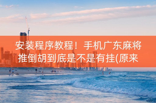 安装程序教程！手机广东麻将推倒胡到底是不是有挂(原来真的有挂)