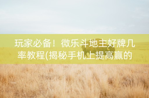 玩家必备！微乐斗地主好牌几率教程(揭秘手机上提高赢的概率)