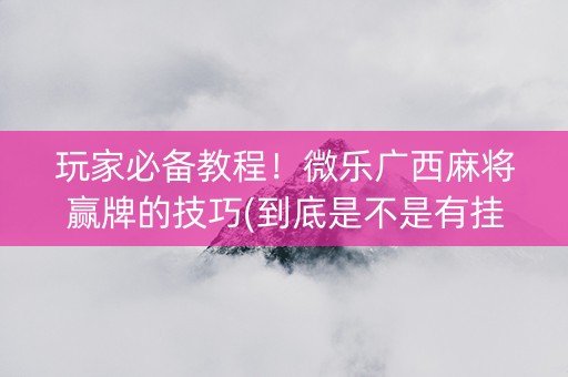玩家必备教程！微乐广西麻将赢牌的技巧(到底是不是有挂)