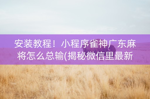安装教程！小程序雀神广东麻将怎么总输(揭秘微信里最新神器下载)