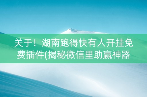 关于！湖南跑得快有人开挂免费插件(揭秘微信里助赢神器)