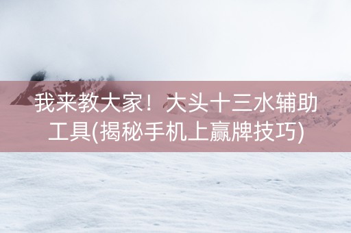 我来教大家！大头十三水辅助工具(揭秘手机上赢牌技巧)