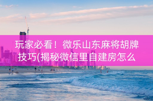 玩家必看！微乐山东麻将胡牌技巧(揭秘微信里自建房怎么赢)