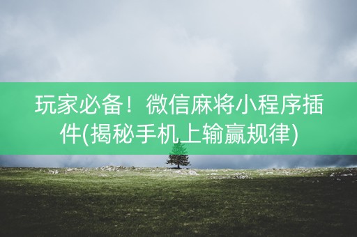 玩家必备！微信麻将小程序插件(揭秘手机上输赢规律)