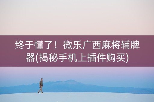 终于懂了！微乐广西麻将辅牌器(揭秘手机上插件购买)