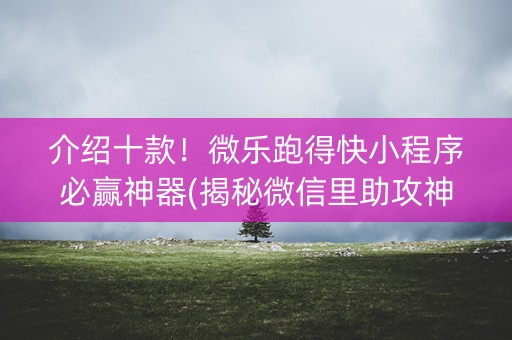 介绍十款！微乐跑得快小程序必赢神器(揭秘微信里助攻神器)