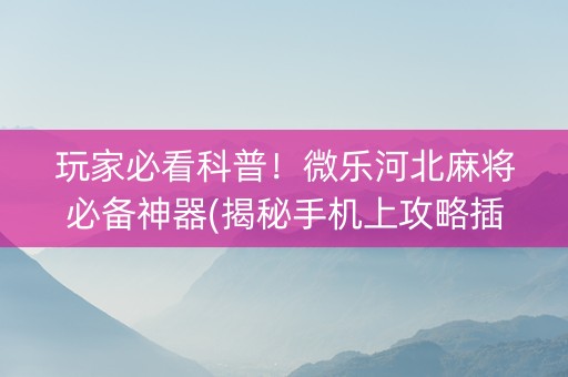 玩家必看科普！微乐河北麻将必备神器(揭秘手机上攻略插件)