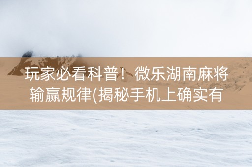 玩家必看科普！微乐湖南麻将输赢规律(揭秘手机上确实有猫腻)