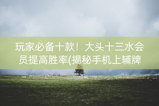 玩家必备十款！大头十三水会员提高胜率(揭秘手机上辅牌器)