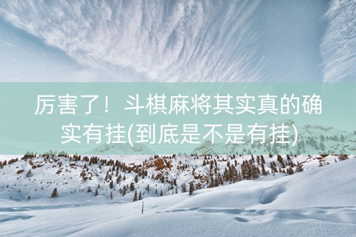 厉害了！斗棋麻将其实真的确实有挂(到底是不是有挂)