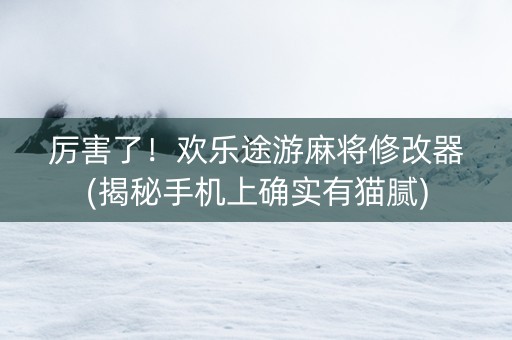 厉害了！欢乐途游麻将修改器(揭秘手机上确实有猫腻)