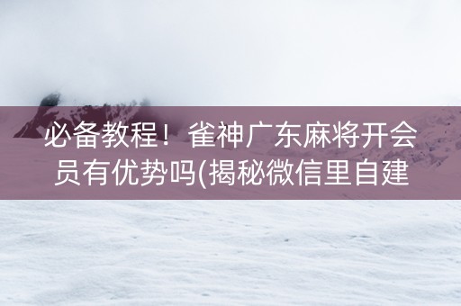 必备教程！雀神广东麻将开会员有优势吗(揭秘微信里自建房怎么赢)