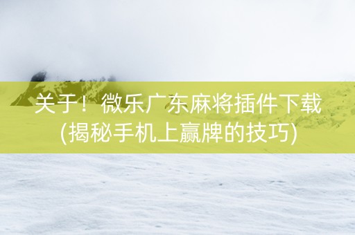 关于！微乐广东麻将插件下载(揭秘手机上赢牌的技巧)