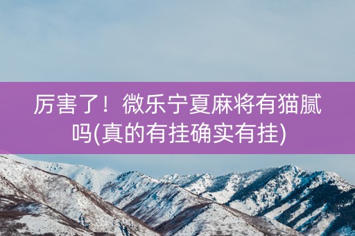厉害了！微乐宁夏麻将有猫腻吗(真的有挂确实有挂)