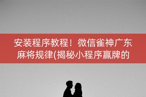 安装程序教程！微信雀神广东麻将规律(揭秘小程序赢牌的技巧)
