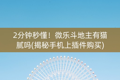 2分钟秒懂！微乐斗地主有猫腻吗(揭秘手机上插件购买)