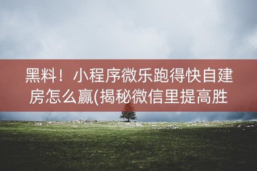 黑料！小程序微乐跑得快自建房怎么赢(揭秘微信里提高胜率)
