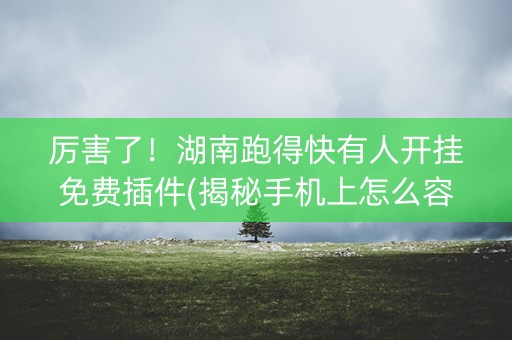 厉害了！湖南跑得快有人开挂免费插件(揭秘手机上怎么容易赢)