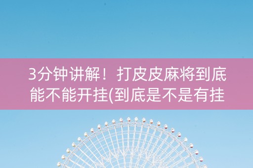 3分钟讲解！打皮皮麻将到底能不能开挂(到底是不是有挂)