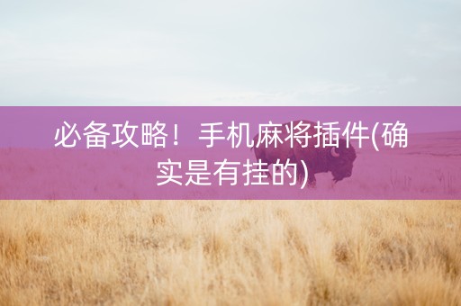 必备攻略！手机麻将插件(确实是有挂的)