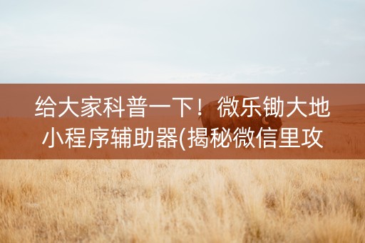 给大家科普一下！微乐锄大地小程序辅助器(揭秘微信里攻略插件)