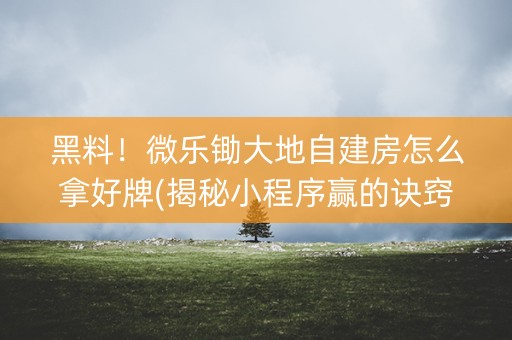 黑料！微乐锄大地自建房怎么拿好牌(揭秘小程序赢的诀窍)
