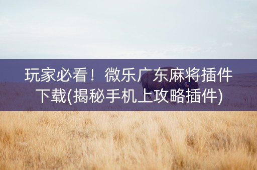 玩家必看！微乐广东麻将插件下载(揭秘手机上攻略插件)
