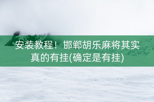 安装教程！邯郸胡乐麻将其实真的有挂(确定是有挂)