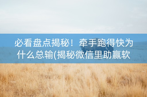 必看盘点揭秘！牵手跑得快为什么总输(揭秘微信里助赢软件)