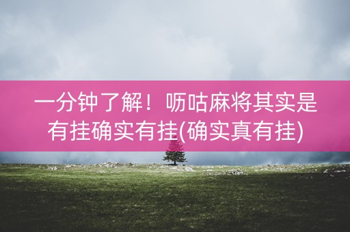 一分钟了解！呖咕麻将其实是有挂确实有挂(确实真有挂)