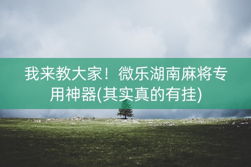 我来教大家！微乐湖南麻将专用神器(其实真的有挂)