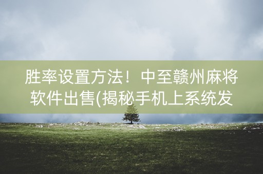 胜率设置方法！中至赣州麻将软件出售(揭秘手机上系统发好牌)