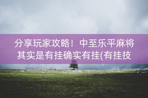 分享玩家攻略！中至乐平麻将其实是有挂确实有挂(有挂技巧辅助器)