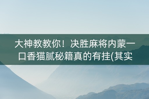 大神教教你！决胜麻将内蒙一口香猫腻秘籍真的有挂(其实真的有挂)